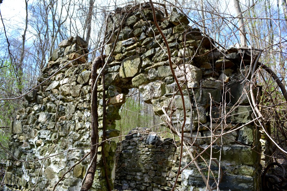 Springhouse White trail Ridley Creek SP PA