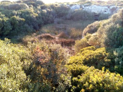 Spunnulata a torre lapillo