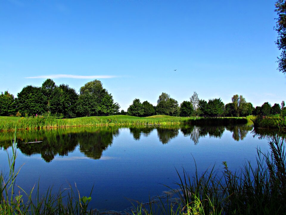 Nature lake grass