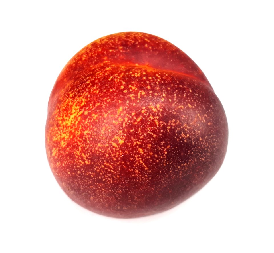 Spotted nectarine 2017 B3