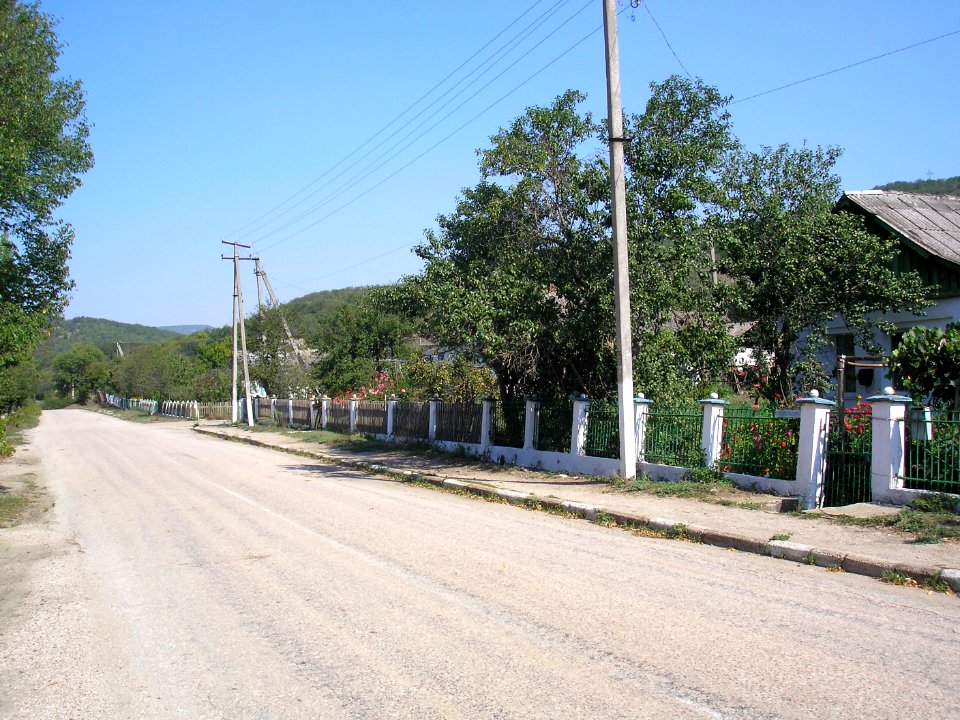 Sinapnoe 1