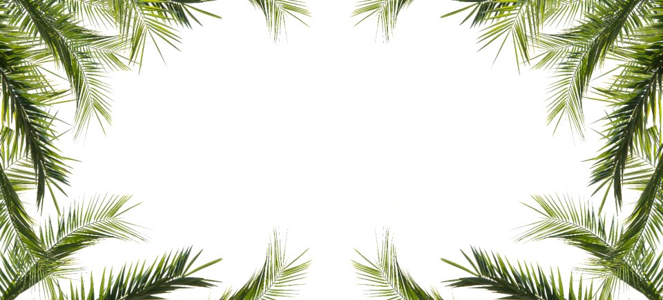 Nature decoration design