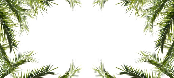 Nature decoration design