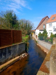 Spiegelbach, in Bellheim