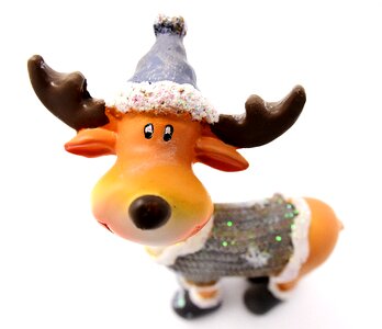 Reindeer funny winter