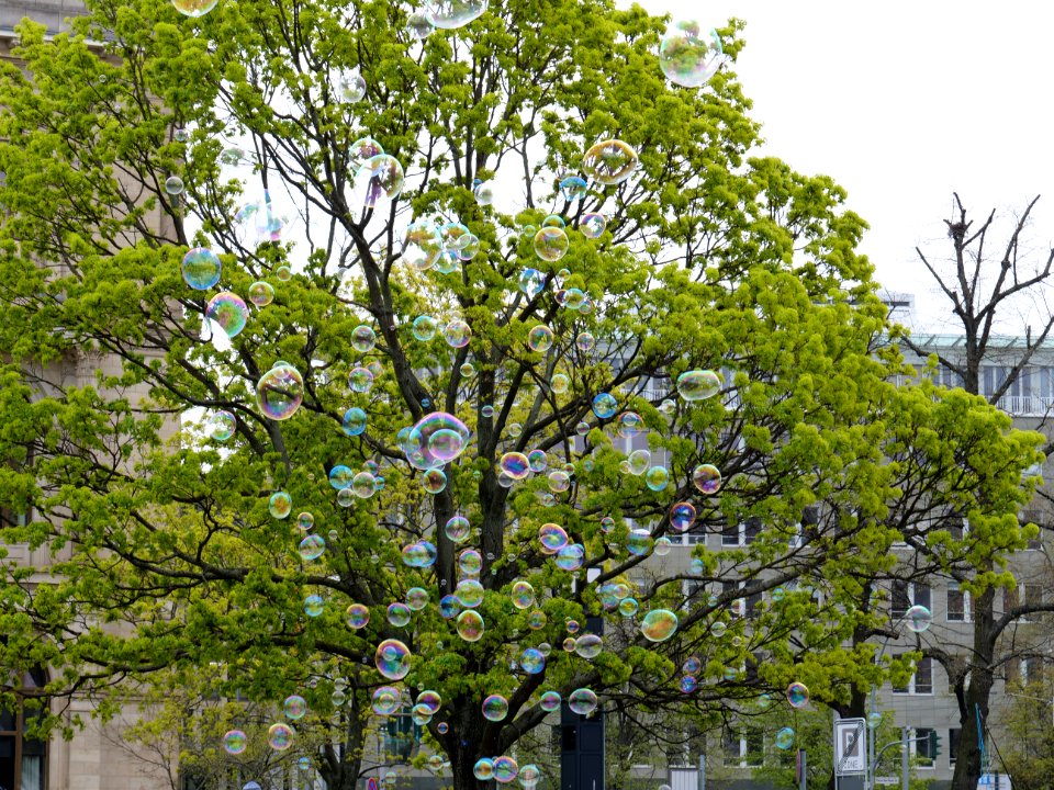 Soap bubbles in front of Acer 16