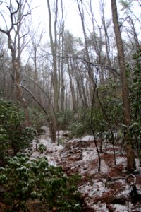 Snow on Pine Mountain Trail, Cartersville, GA Feb 2020 06