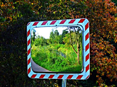 Green nature view