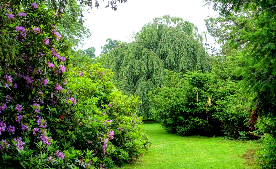 Shugborough Estate - Staffordshire, England - DSC00161