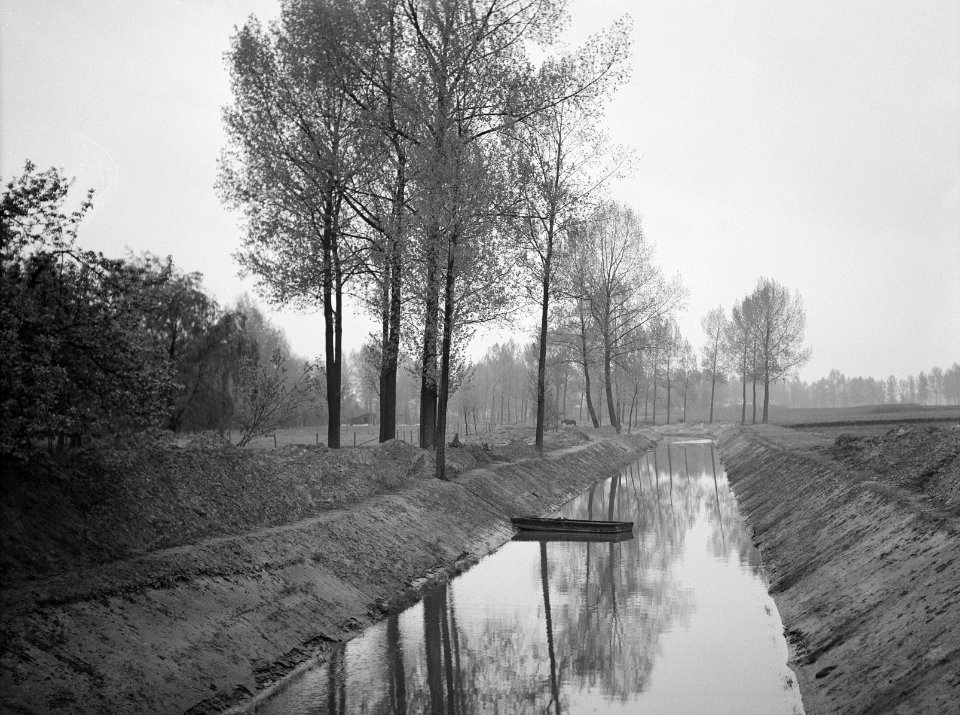 Sloten, bomen, landschappen, Bestanddeelnr 253-6646