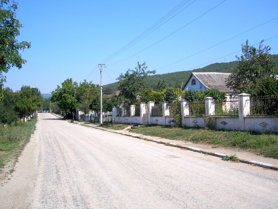 Sinapnoe 2