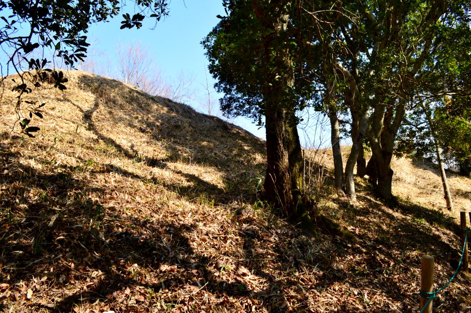 Shogunzuka Kofun (Wakayama), funkyu-2