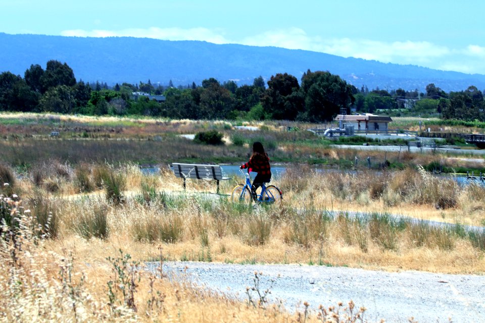 Shoreline Park Mountain View California IMG 2511