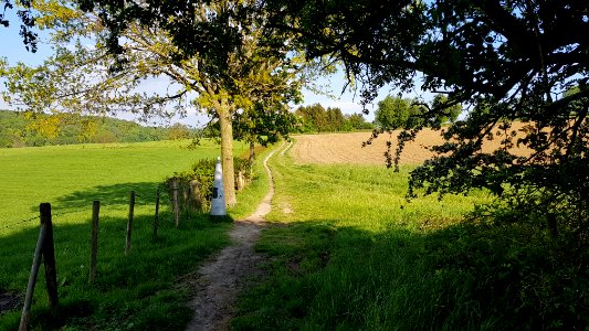 Slenaken-Teuven-Grenspaal 18 (BE-NL) (8)