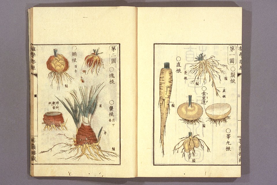 Shokugaku keigen by Udagawa Yoan. Edo Suharaya Ihachi, etc., 1837 - 055-007l