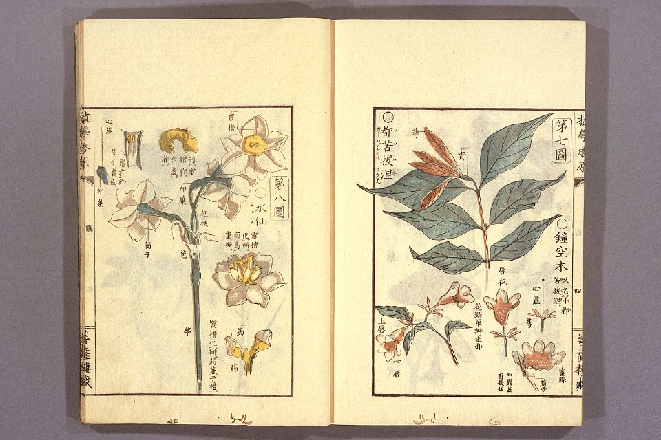 Shokugaku keigen by Udagawa Yoan. Edo Suharaya Ihachi, etc., 1837 - 055-010l