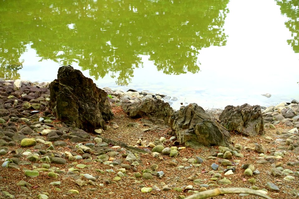 Shore of Oizumi ga Ike - Motsuji, Hiraizumi, Iwate - DSC04515