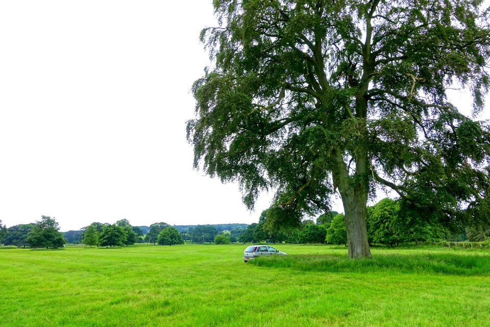 Shugborough Estate - Staffordshire, England - DSC00480
