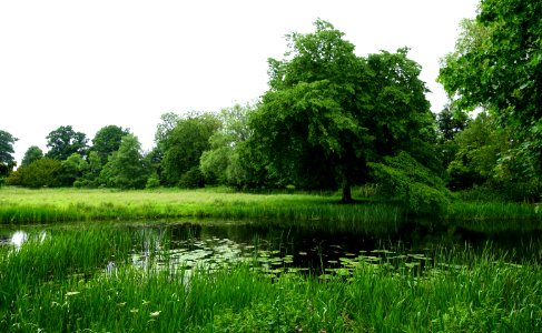Shugborough Estate - Staffordshire, England - DSC00214