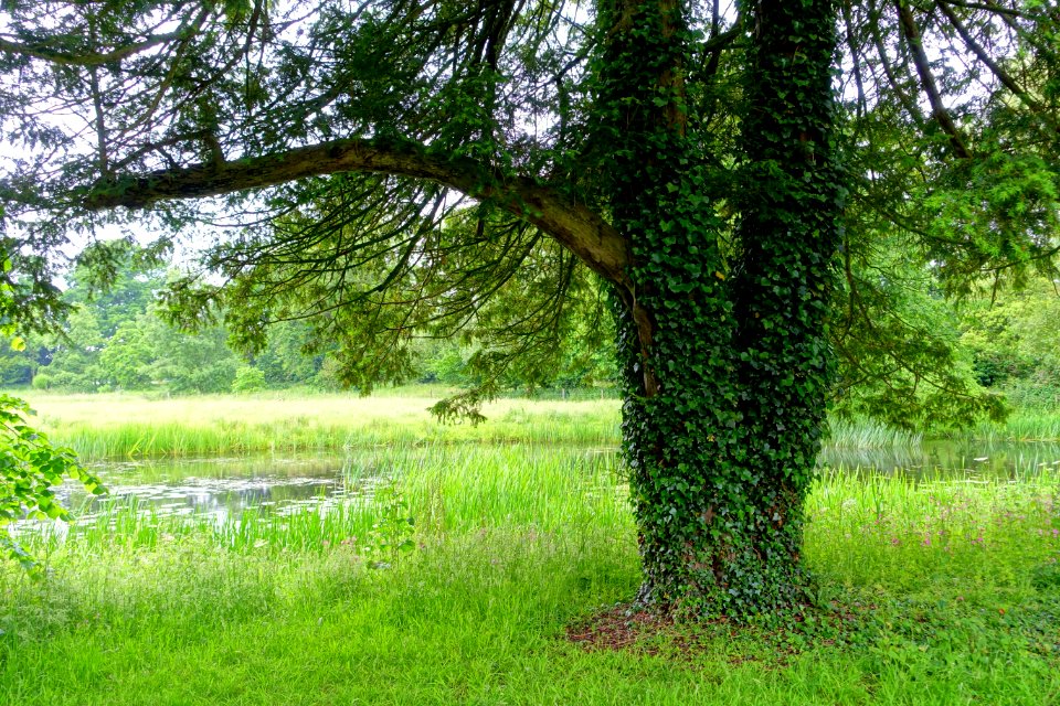 Shugborough Estate - Staffordshire, England - DSC00216