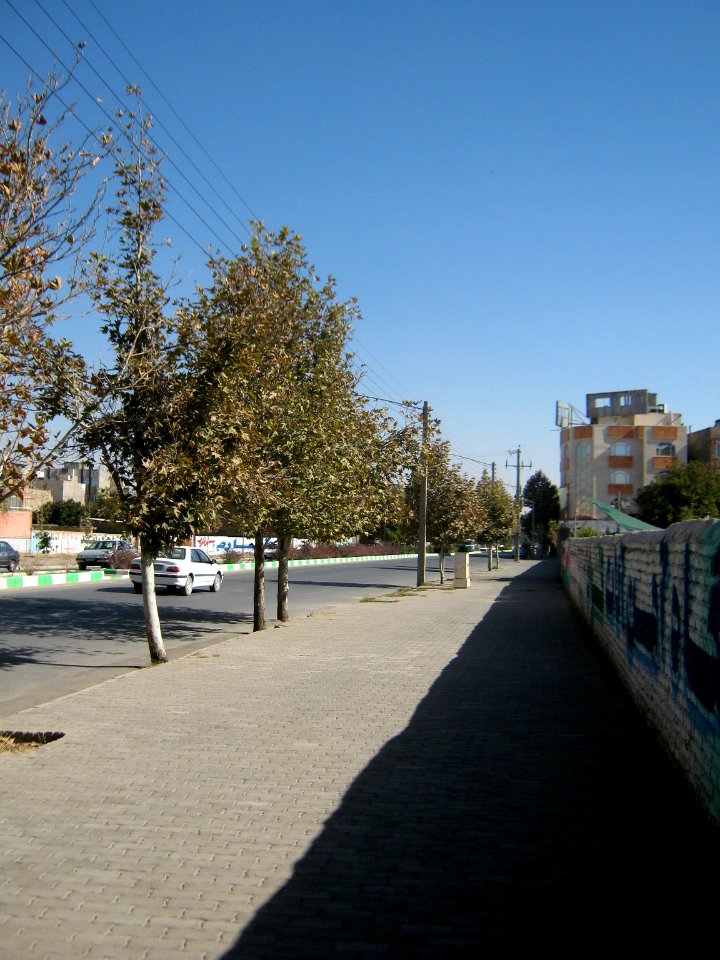 Sidewalk of Amir Kabir St - Nishapur 2