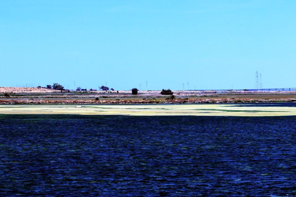 Shoreline Park Mountain View California Salt marsh IMG 2385