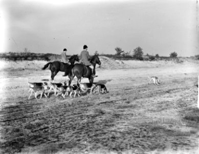 Sint Hubertusjacht bij Amersfoort jagermeester Prins Bernhard , koningin Juliana, Bestanddeelnr 903-6967