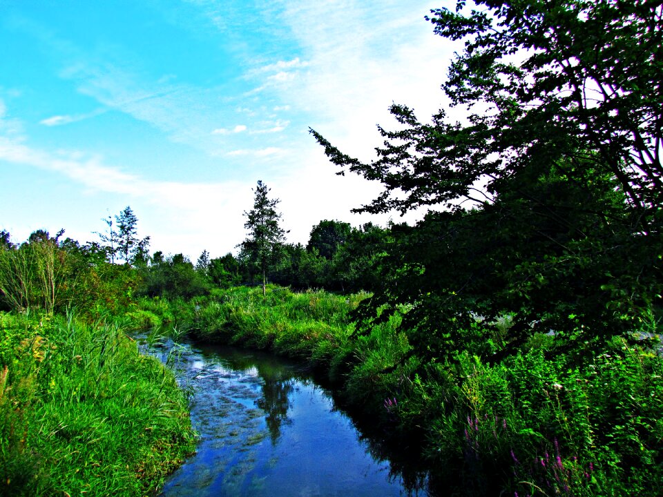 Nature the brook torrent