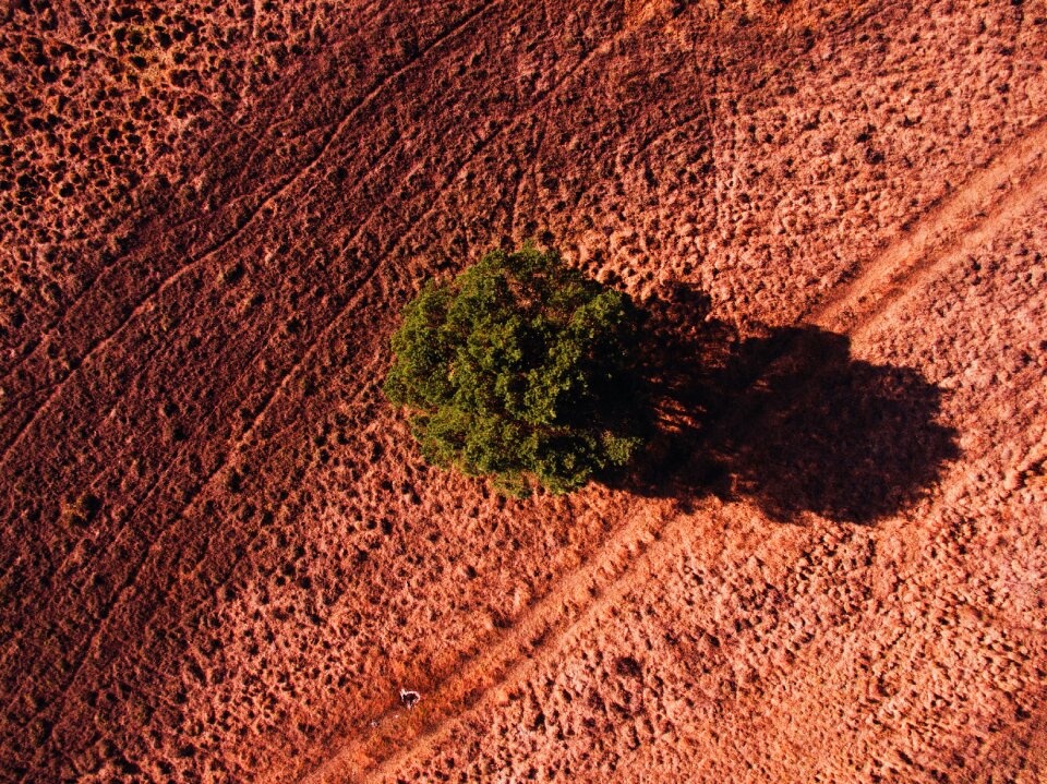 Farm land field