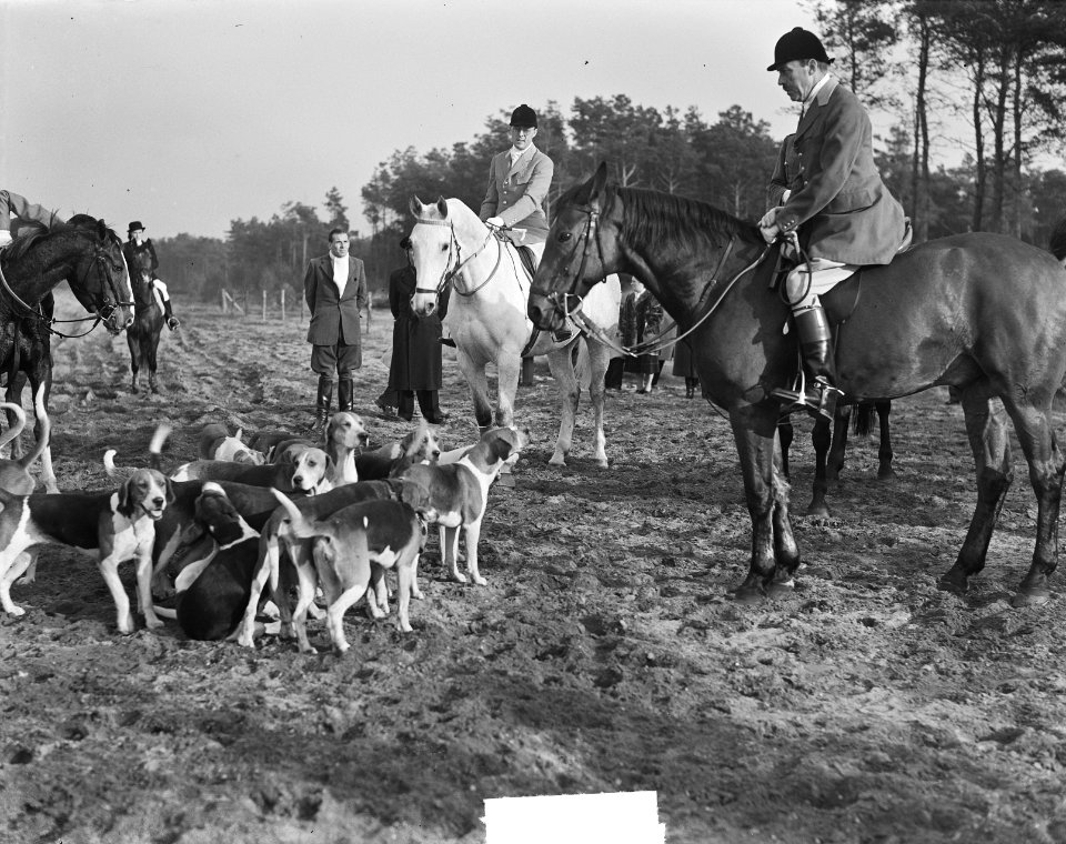 Sint Hubertusjacht bij Amersfoort jagermeester Prins Bernhard, Bestanddeelnr 903-6956