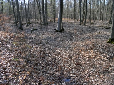 Straßbach ober Ferngas Quelle und Gabelung R0012793