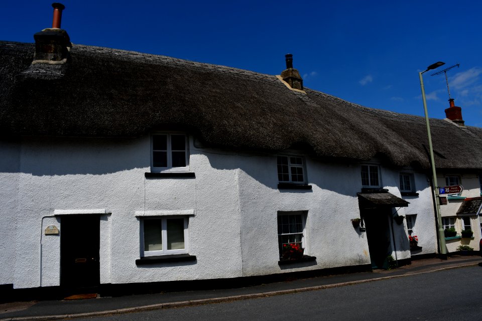 Sticklepath (2021-06-30) 40