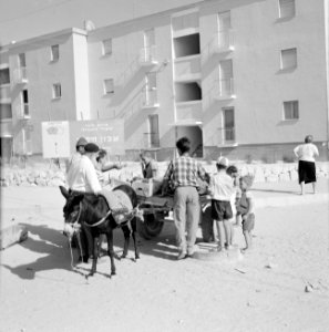 Straatverkoper van druiven met een ezelwagen en klanten in een nieuwbouwwijk van, Bestanddeelnr 255-3567