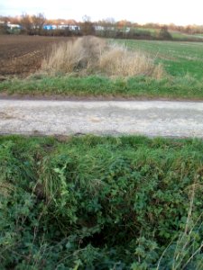 Straßbach Entengraben