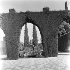 Spanje, Granada, het Generalife, Bestanddeelnr 918-0092