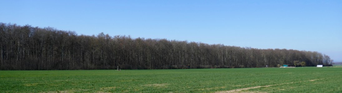 Steinhausen - Pagenholz - 2