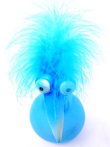 Weird bird cute feather