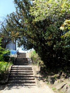 Sopot ulica Jana z Kolna – schody
