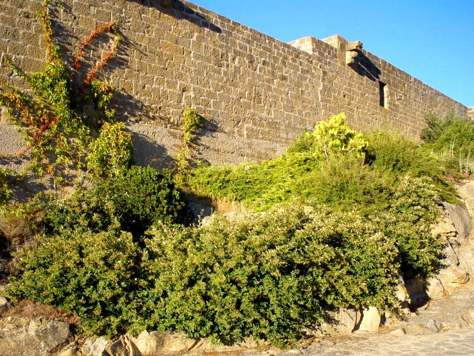 Sos del Rey Catolico - Parador de Turismo 07