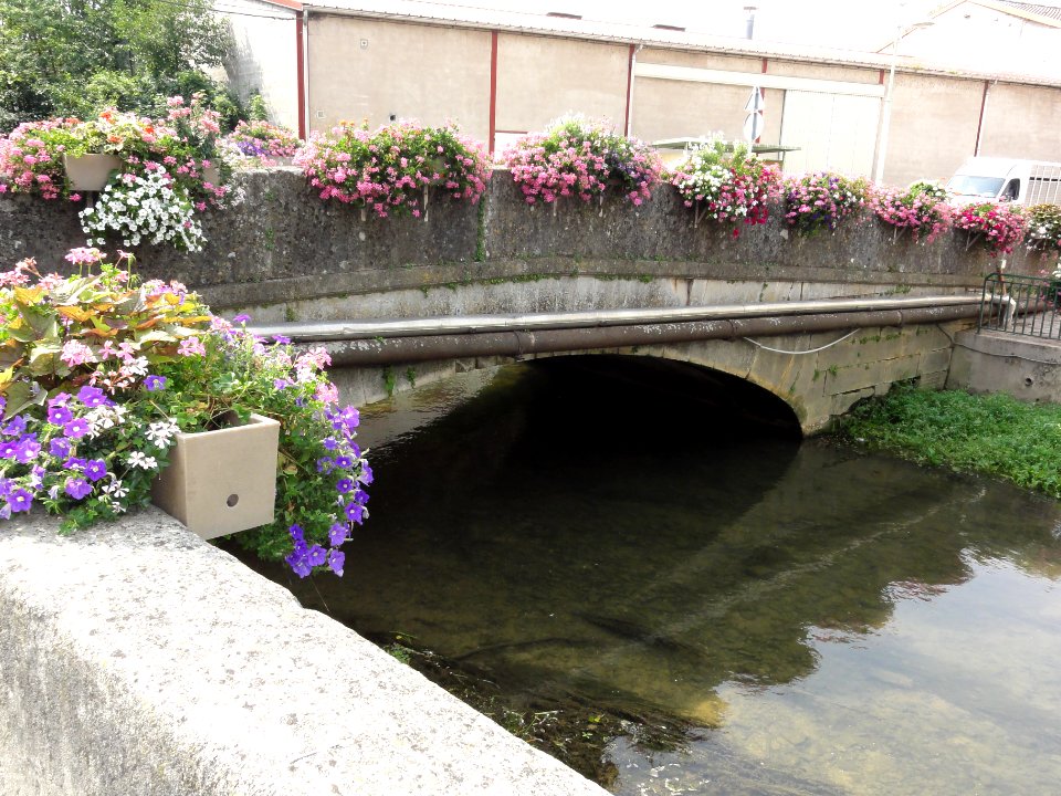 Sorcy-Saint-Martin (Meuse) pont sur petit bras de Meuse