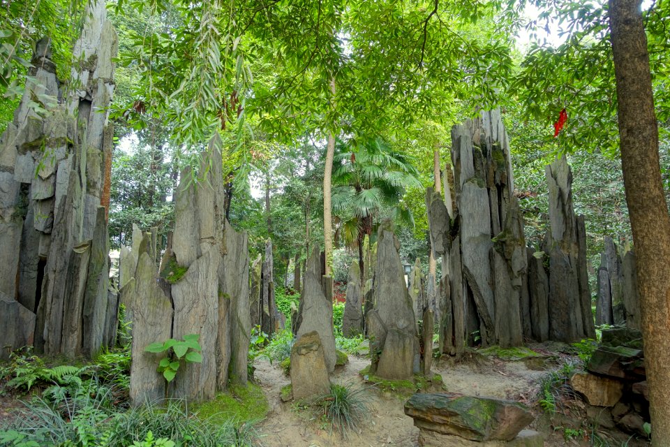 Stones - Wenshu Monastery - Chengdu, China - DSC05176
