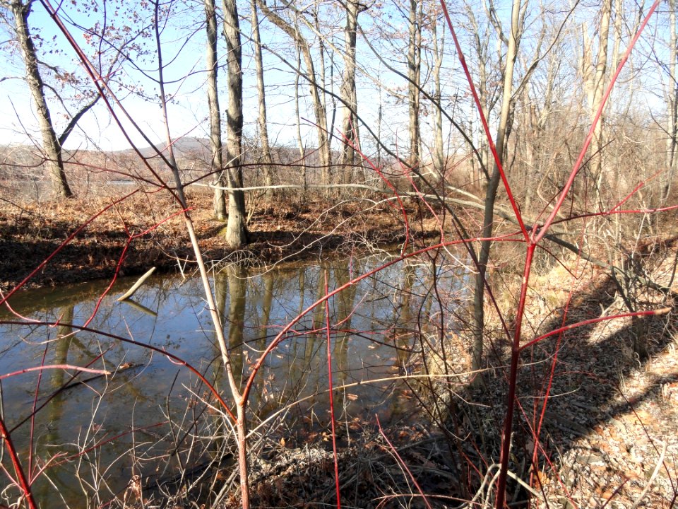 South Hadley Canal - Hadley Falls Canal Park - DSC04450