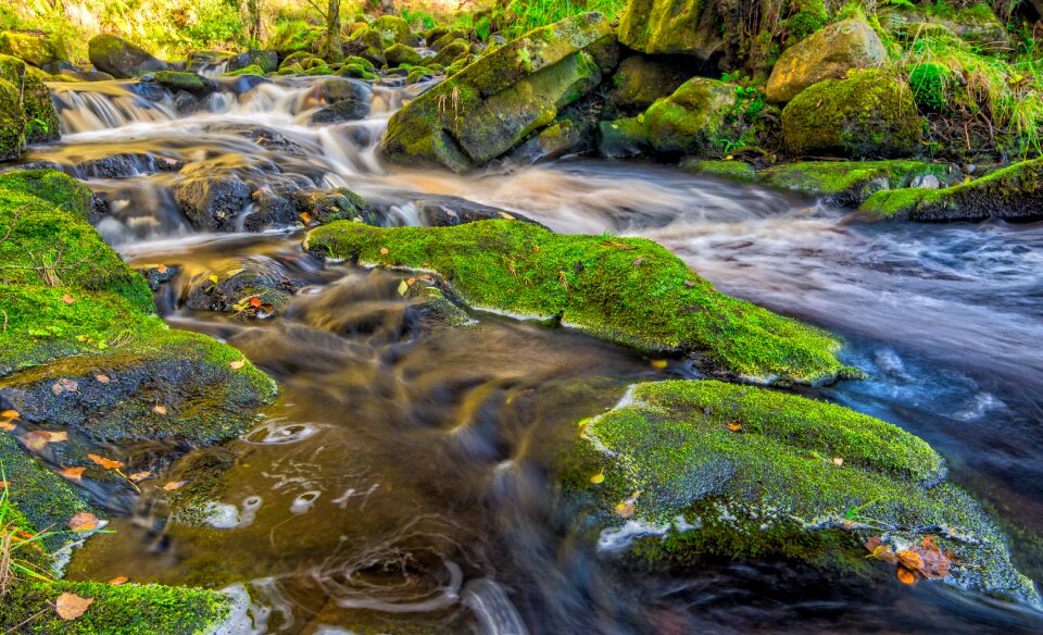 Valley of desolation cascade bolton abbey