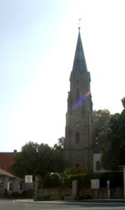 Stein-Bockenheim 29