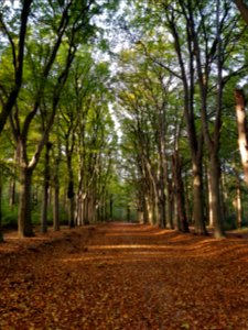 Steenwijk-Woldberg (2)