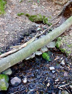 Steinbrunnenquelle