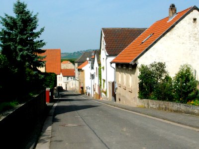 Stein-Bockenheim 15