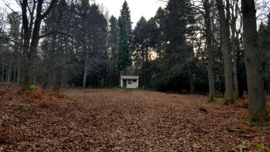 Spa-Source de la Reine (3)