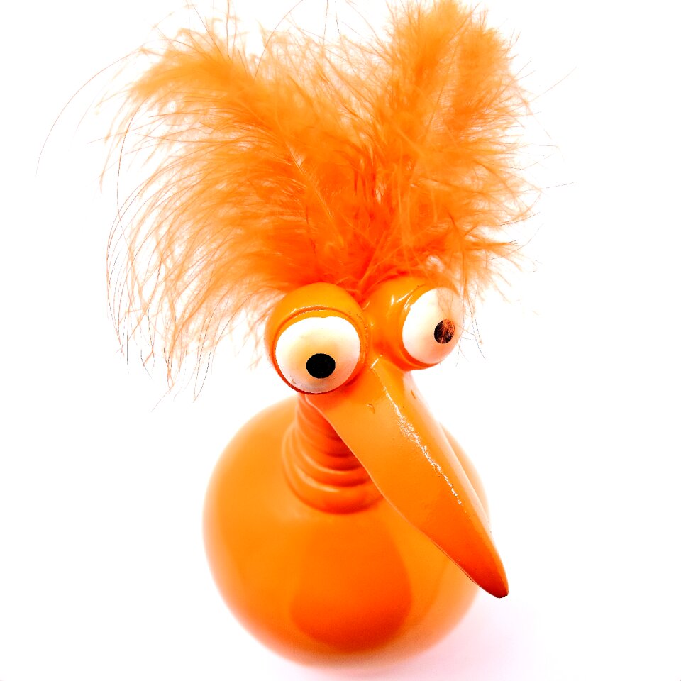 Weird bird cute feather