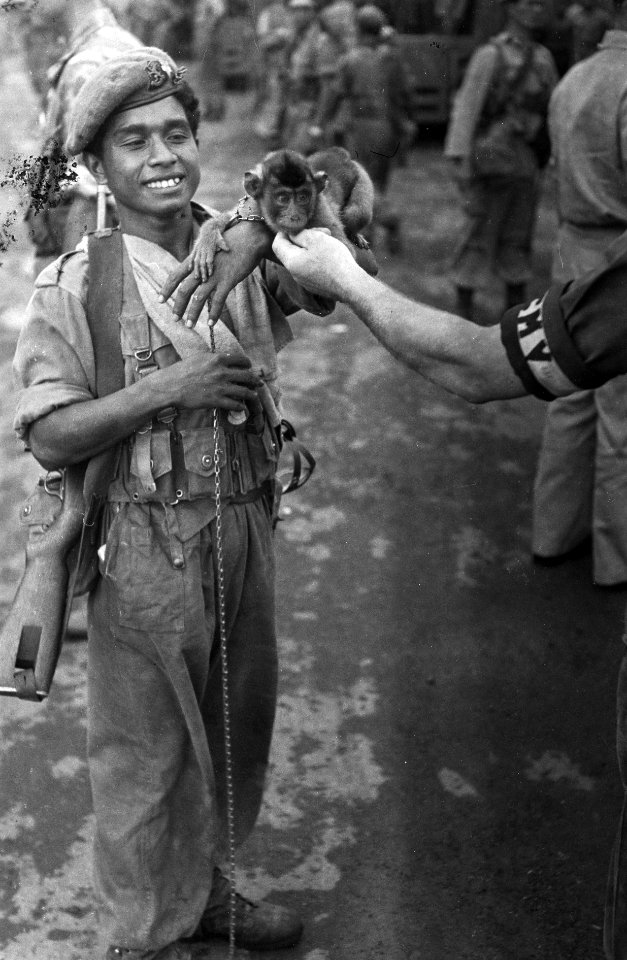 Soldaat met aap op zijn arm. De hand en arm van een andere militair zijn te zie, Bestanddeelnr 3166